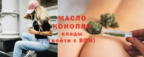 прущий лед Дмитриев