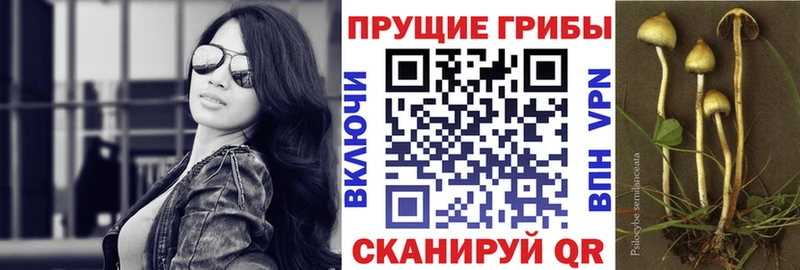купить наркотик  Ува  Галлюциногенные грибы мицелий 